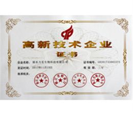 高新技术企业